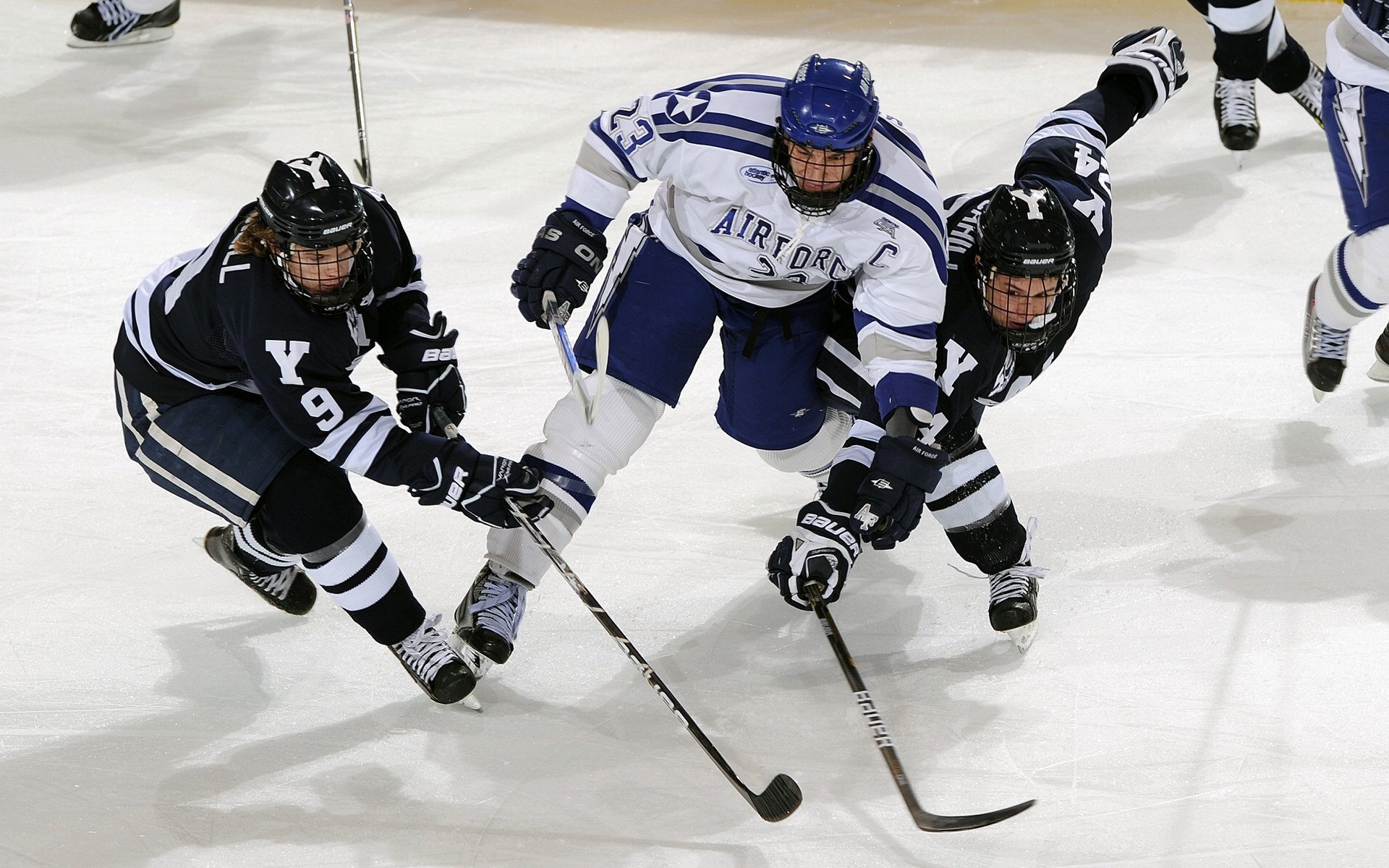 开云体育2026-东决关键战焦点战，魔术击溃黄蜂，挺进总决赛